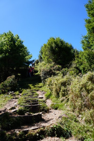 麟趾山一日遊3010199