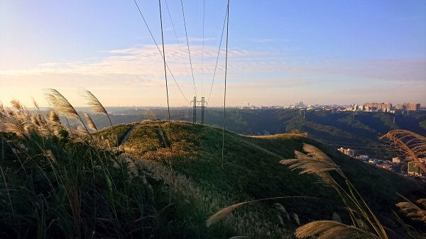 新北樹林-三角埔頂山1420667