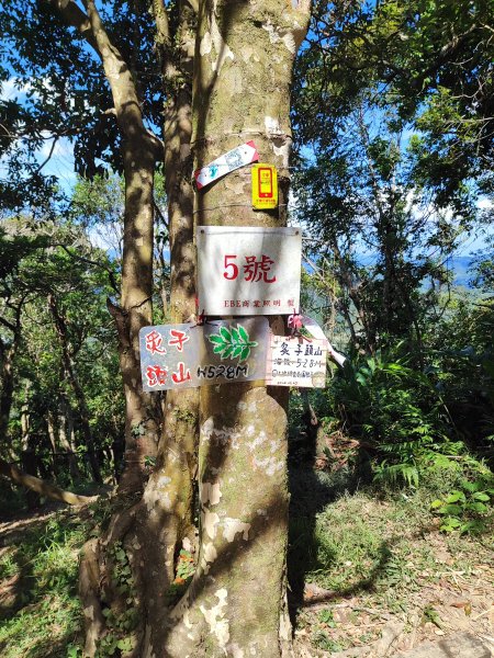 微笑山線：【二格山系】筆架連峰段2920971