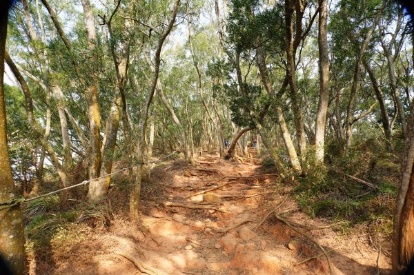 苗栗 三義 火炎山、南火炎山3020882
