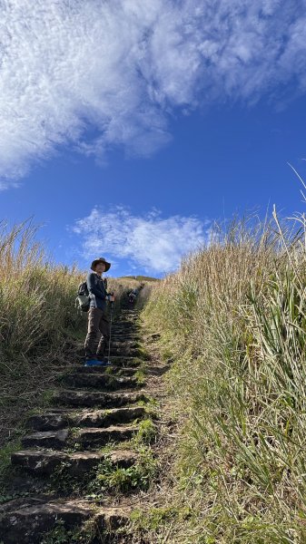 大屯山 (主、南、西峰、二子坪)縱走2029164