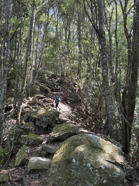 波津加山 202509142893375