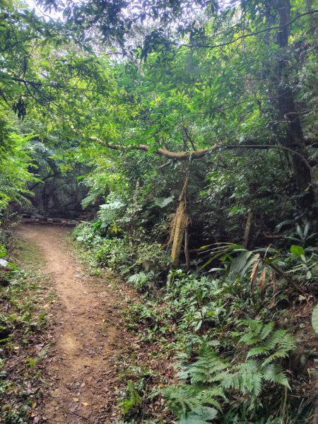 鳳鳴古道 鳳鳴山 南隘勇（南長城）古道 三湖山 八達嶺（龍骨）古道 綠色古道 延平古道2975321