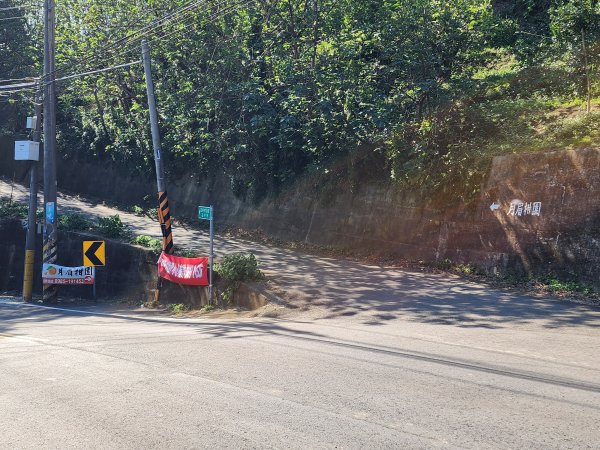 20250114石井山、榴子坑山、後脊山、龍頂山2728594