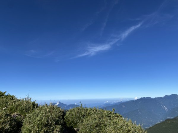 合歡山東峰3065456