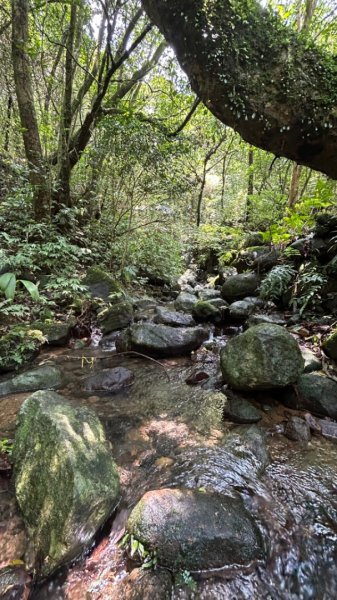 瑞芳草山群峰燦光寮山2171217