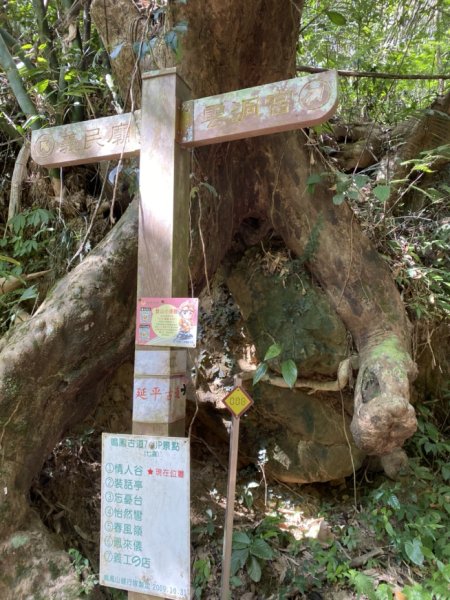 鳳鳴古道3060564