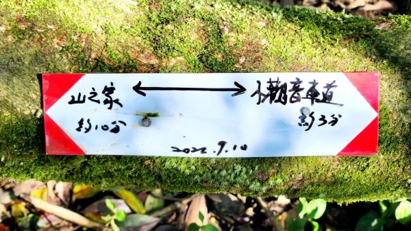 【中級山】台北版抹茶山竟然有免申請路線，小觀音山西峰單攻，順遊頂湖海芋步道，竹子湖黑森林2742408