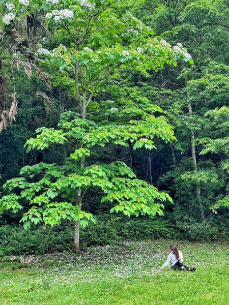 福山植物園 員山大湖觀景台 雙連埤2148410