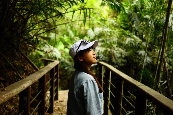 鄒族雅吾瑪斯步道916884