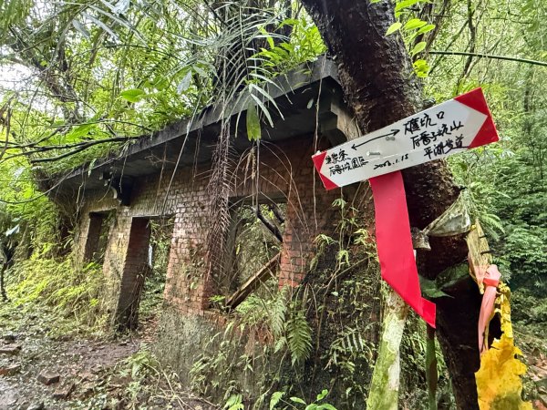 三林一后一紙及武山煤礦文化遺址8字行2991129