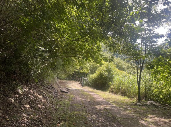 2025_0622 霞喀羅國家步道(石鹿端)2819512