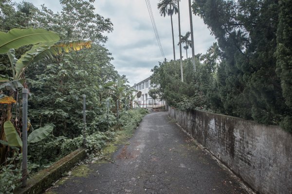 穿越茶金歲月：石光古道與露德聖母朝聖地3054518