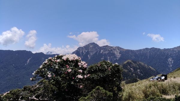 小奇萊步道+合歡山群峰334356