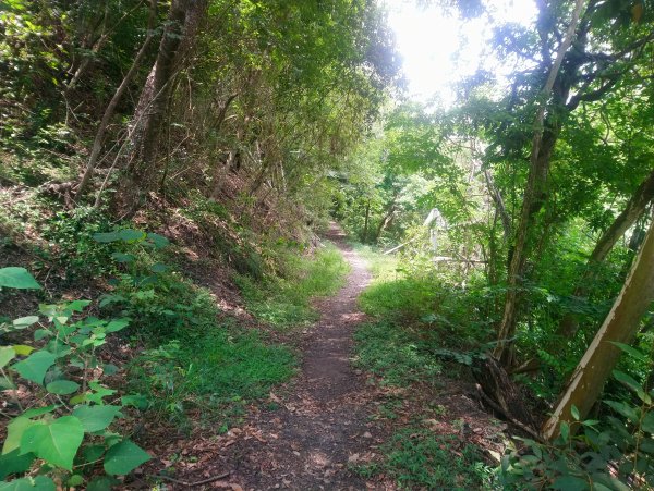 二坪山古道（土地公鞍古道）上下來回969511