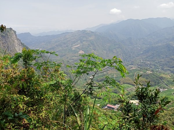 【苗栗-臺灣百大必訪步道】泰雅族抗日的馬那邦山登山步道1347687