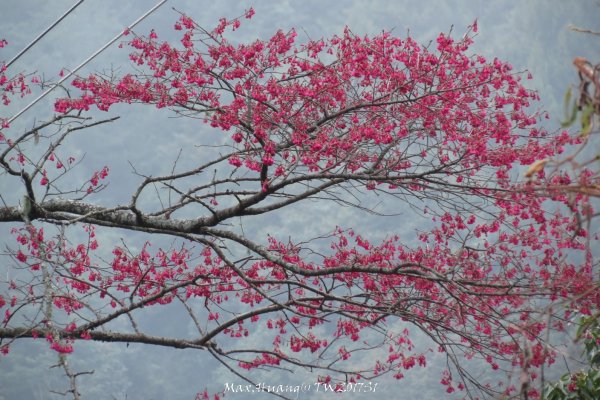《台中》谷關七雄｜初登屋我尾山20170319