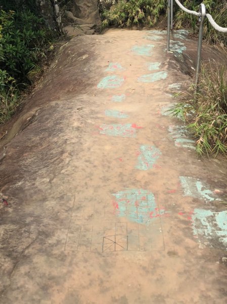 攀繩登山步道｜三峽五寮尖 06261011188