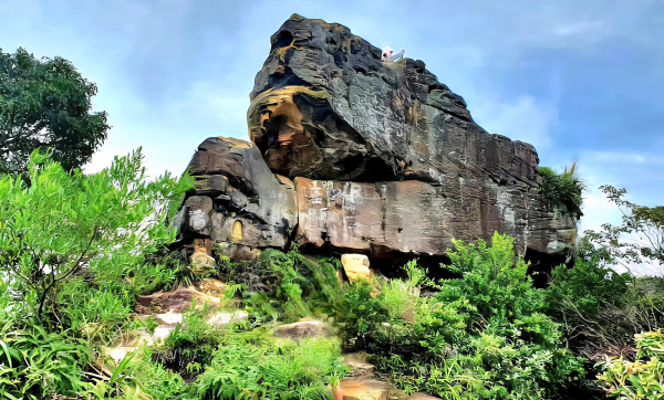 狗殷勤古道（尾崙水圳步道），平菁街賞櫻，軍艦岩步道，關渡自然公園