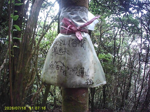 大雪山林道橫嶺山步道、橫嶺山、沙蓮山、笛吹山O繞3090404