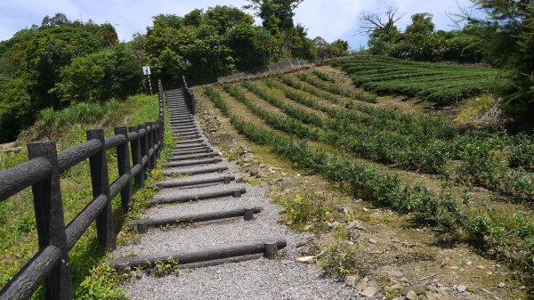 獅公髻尾山登山健行趣（郊山）1577795