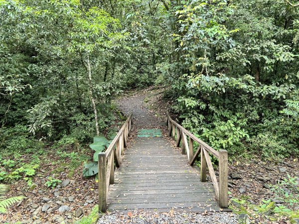 福山植物園3053391