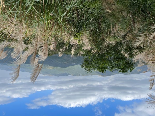 20231118_鵲子山步道（宜蘭小百岳）2763002