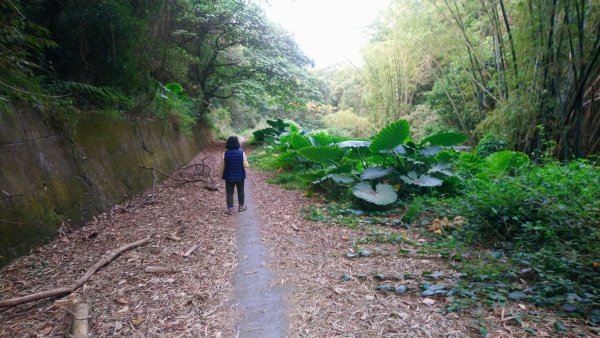 山湖步道1557273