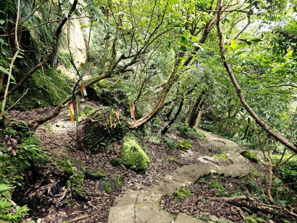 (五分山系)平溪小黃山-2025微笑山線大縱走尋寶集章任務2855297