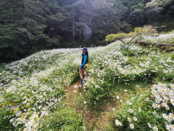 玉山群峰前五峰後四峰2610650