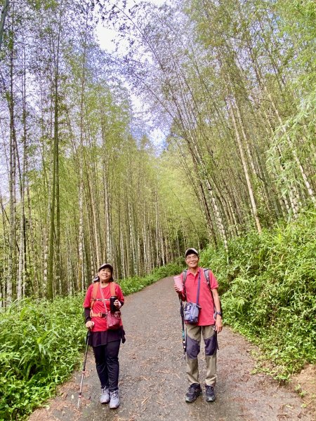 溪頭山、竹崙山、志騰山三山O型順撿內湖山  2024/5/312517729