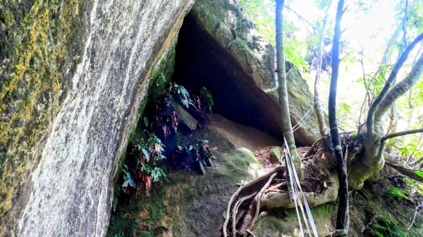 大邱田石門洞2856213