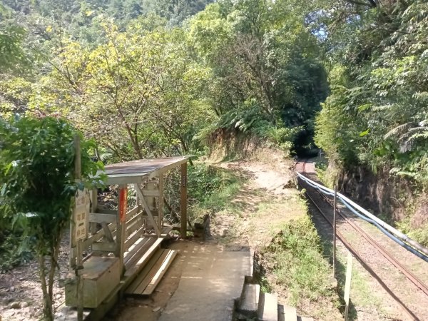 平溪區大華步道+幼坑古道+幼坑崙(大華車站-三貂嶺車站)2925258