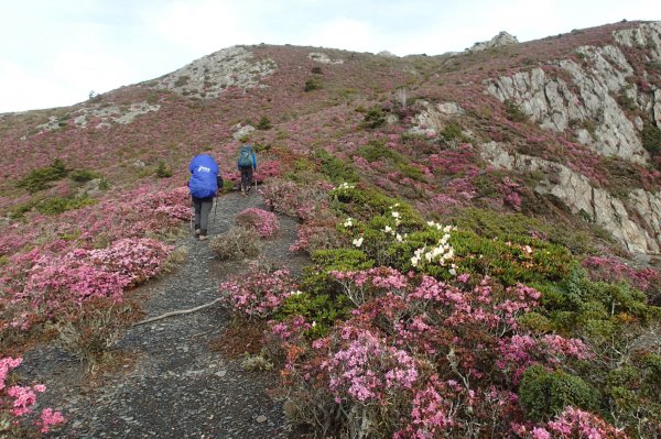 【新聞】平安回家是登山的終極目標！登山時勿任意變更計畫路線！