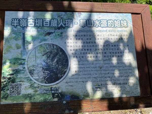《陽明山秘境健行｜翠峰瀑布 × 天母古道 夏日涼爽路線》2852206