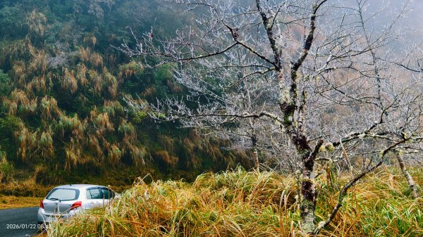 #太平山 #望洋山 #霧淞 1/222986040