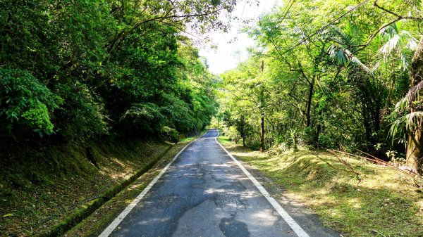 畝畝山。又上說2768124