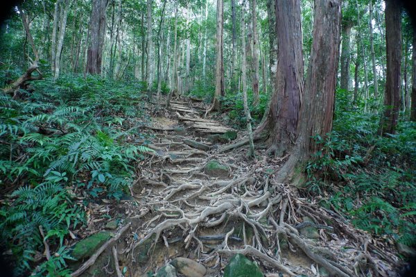 新竹 尖石 內鳥嘴山2899161