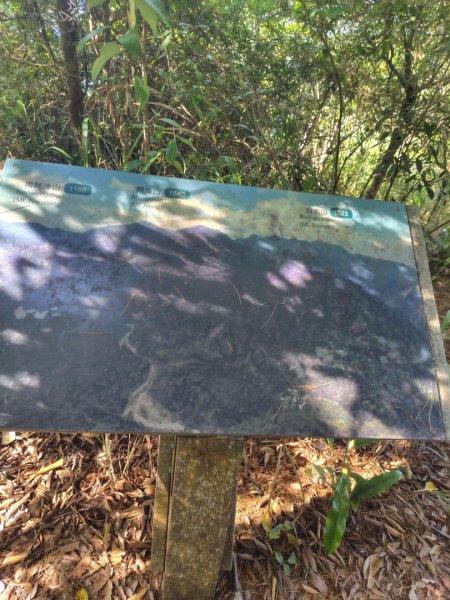 唐麻丹山 蝴蝶谷2918962