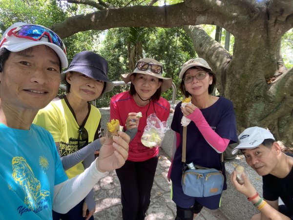 《夏日大坑同行記｜10號步道登稜線，與家人感受山風與人情味》2926358