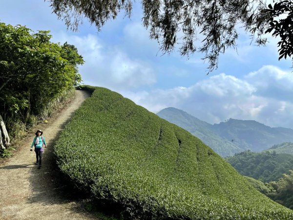 大巃頂-獨立山-阿拔泉山 O繞1680476