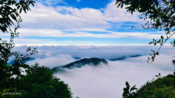 #馬那邦山 #琉璃光 #日出 #雲海 #山羌 #楓葉 10/25 & 11/12924613