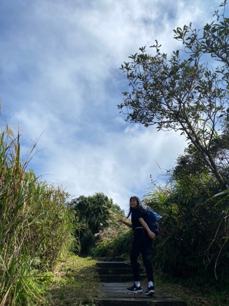 五分山步道1249718