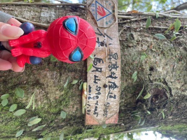 北部三大岩場-筆架連峰-皇帝殿-五寮尖拍空拍寫真💙2734095