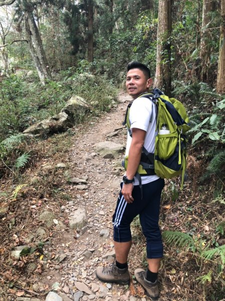 八仙山森林遊樂區【與藍腹鷴漫步在春光裡】531615