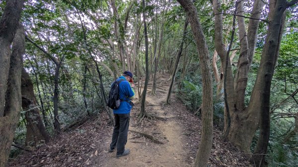 114.11.22鳶山彩碧-鳶山-鳶尾山之旅2943536