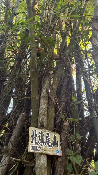 旗尾山、美濃湖3130916