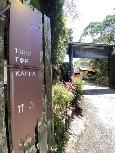 2025微笑山線大縱走尋寶集章任務-Ep.02【大棟山系】百年大榕樹2884756