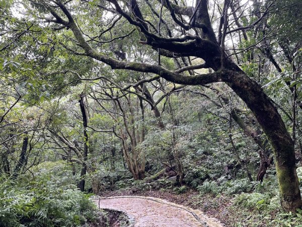 台北大縱走第一段2738404