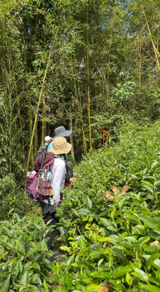 麻竹湖步道走麻竹湖山/阿郡山2821268
